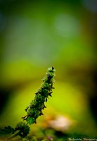 _DSC0056.jpg