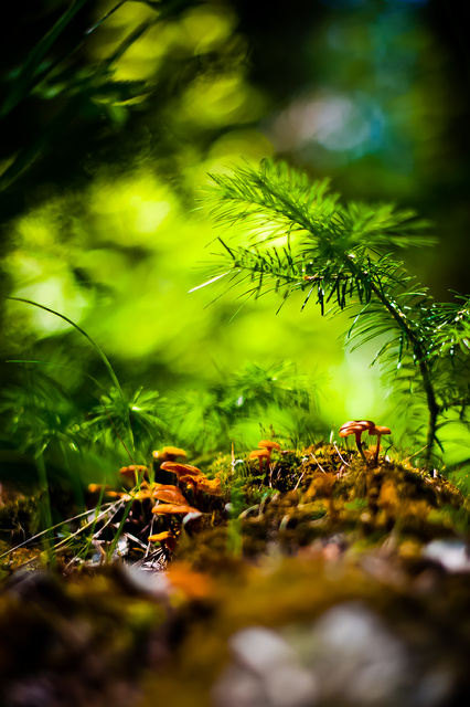 _DSC9642.jpg