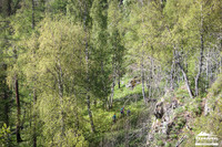 IMG_0432.jpg