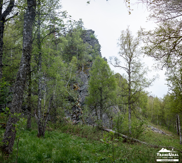 IMG_0553-Pano.jpg