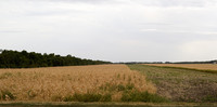 DSC_0374.jpg