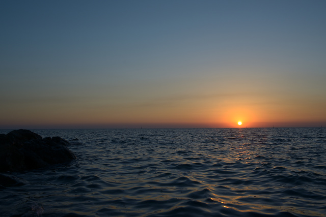 DSC_0255_00001.jpg