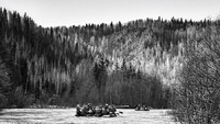 IMG_0782.JPG